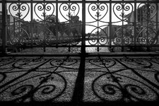 IMG_2790 klein.jpg