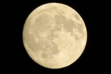 IMG_0538.jpeg