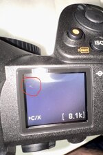 IMG_3801.jpeg