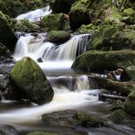 IMG_20180715_175627_673.jpg