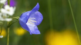 comp1_DG021279-B1.jpg