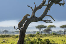 R6II3679-Bearbeitet.jpg