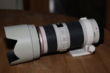 1X1A4283.JPG