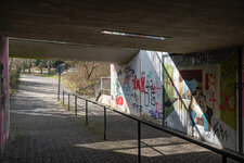 DSC01164-full.jpg