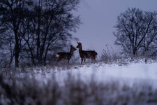 DSC00187-ARW_DxO_DeepPRIME_5000x3333.jpg