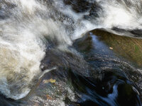 wasser 1.jpg