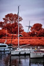 comp_DSC_0127.jpg