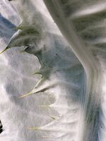20230615_082035_ji.jpg