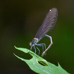 6584_DSLR_202306.jpg