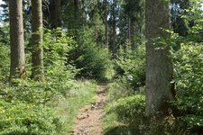 wanderweg im sommer.jpg