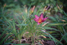 7M300490.jpg