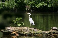 IMG_3485 klein.jpg