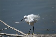 c_DSC_6840.jpg