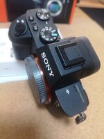 IMG_20230711_015346.jpg