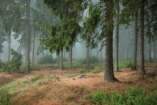 AR1A6292.jpg