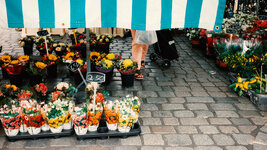street_mannheim_39_daily_or.jpg