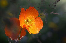 2I1A5671-3-topaz-sharpen-kompr.jpg