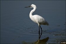 c_DSC_7601.jpg