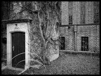 IMG_20210103_115912-Bearbeitet.jpg