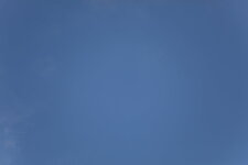 5D4_9390a.JPG