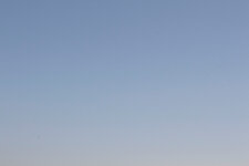 IMG_1206_kleiner.jpg