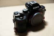 DSC00715_smal.jpg