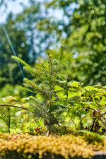 DSC00938_DxO_small.jpg