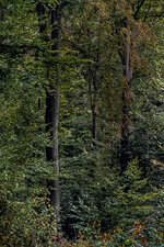 Sensorflecken pro3 papier-8.jpg