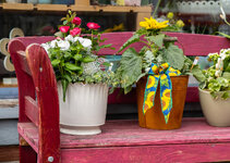 L1000052-3.jpg