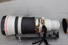 Canon EF 500 L IS II 5.jpg
