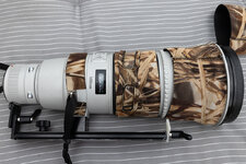 Canon EF 500 L IS II 6.jpg
