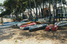 Groß (20210520-7AEB6D5E-CA68-4C66-B76D-AF37AB173A56-678-000000B20DECD1B7).jpeg