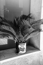 Groß (20210524-B535B3ED-C796-4F8B-B0B7-08B6F6D6138D-1217-000000E3D14B23D4).jpeg