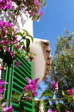 Groß (20210520-2C2868A2-42A4-4F7A-9DF8-010D99A7AB70-678-000000B304CAE741).jpeg