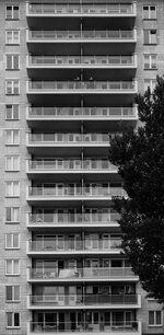 L1003294.jpg
