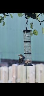 IMG_2873.jpeg