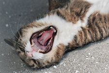 DSCF3850.jpg