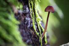 20130929-IMG_4059.jpg