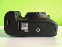 IMG_1192.jpg