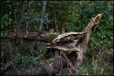 comp_Zerbrochen (1).jpg