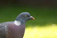 IMG_4028-01.jpeg