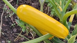20230922_160629.jpg