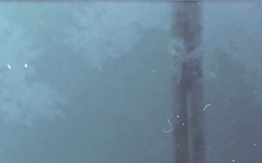 2023-10-02_12-08.png
