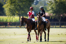 GoldCup-120.jpg