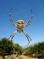 Kreta12_169 (Custom).JPG