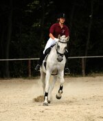 comp_IMG_2867.jpg