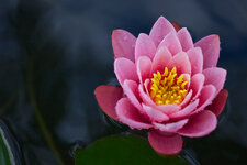 IMG_0427kleinweb.jpg