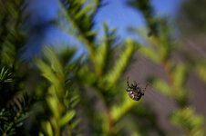 IMG_1029kleinweb.jpg