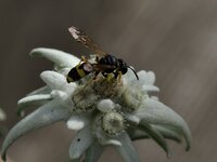 IMG_1986.jpg