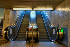 DSC_0029 (1).jpg